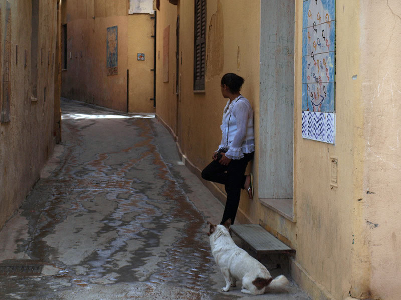 ������� ���������: �������������. ���� � ��������