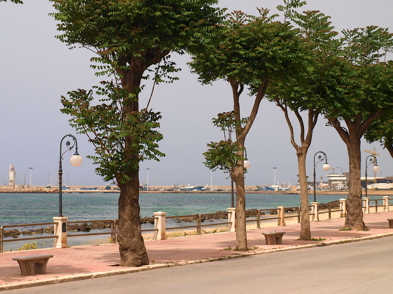 ������� ���������: ���������� �������. ���������� �������-����-�����