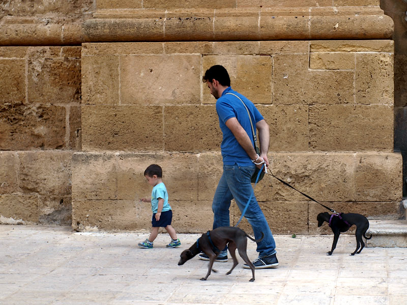 ������� ���������: �������� ���������. ������ � ������