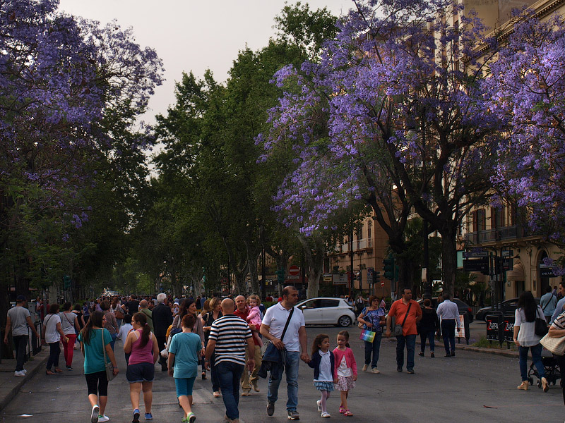 ������� ���������: �������. � ������ ��� �� ��������