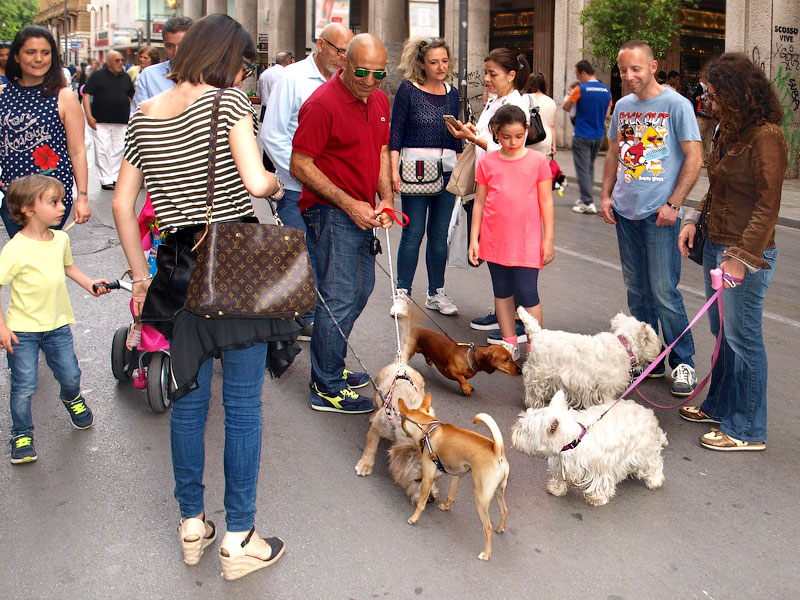 ������� ���������: corso Vittorio Emanuele. ����������� ����� �������