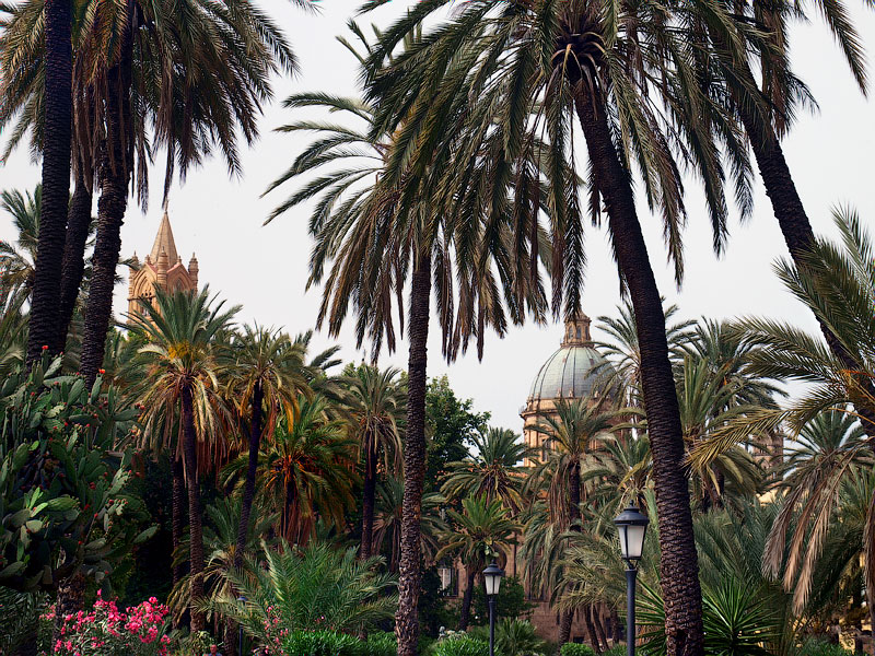 ������� ���������: ��� �� �����. �����