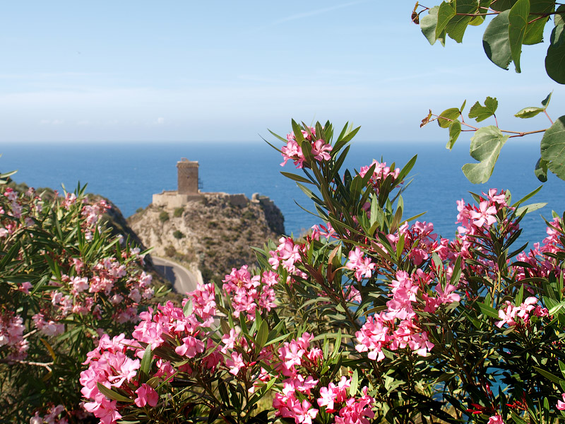 ������� ���������: Torre Normanna. ��� ���� �����