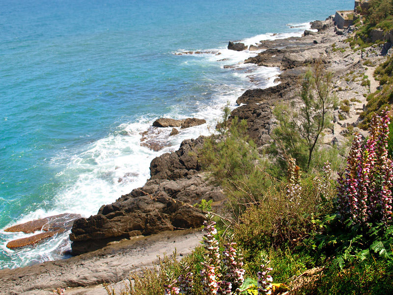 ������� ���������: ������ ����� � ��������. �����, ����� � ����