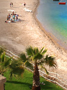 ��� �� ����