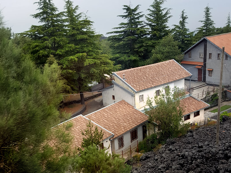 ������� ���������: ������ �� ������� ����������� . ����