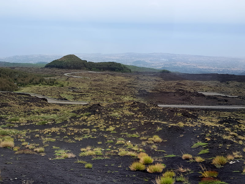 ������� ���������: ������� ����. ������� ��������