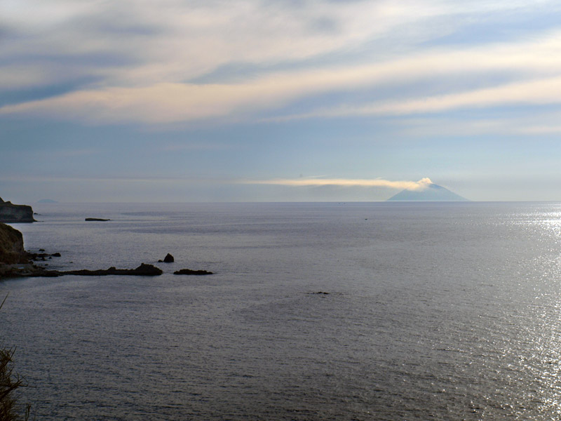 ������� ���������: ���������. ������ �� ���������