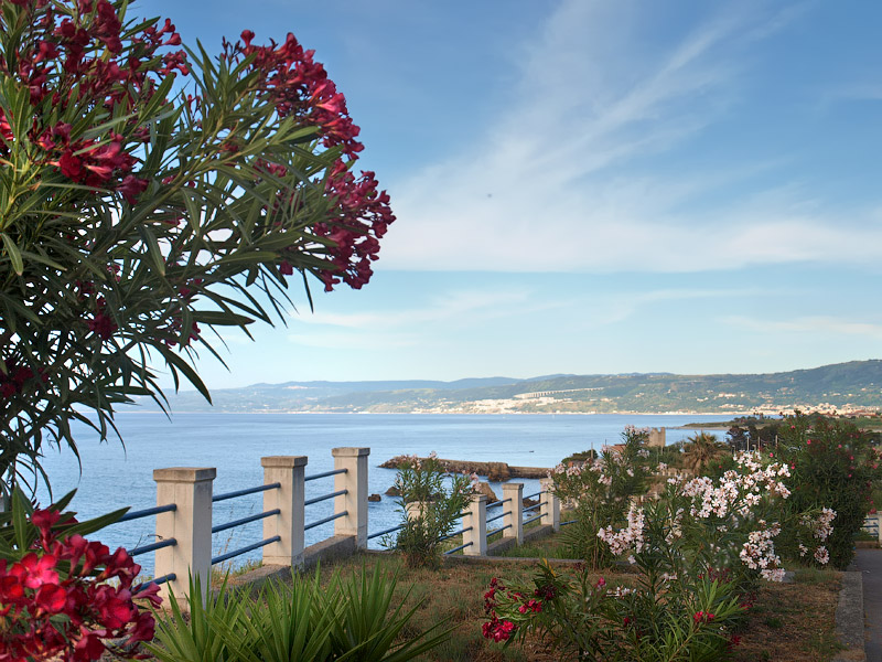 ������� ���������: ���������. ��������