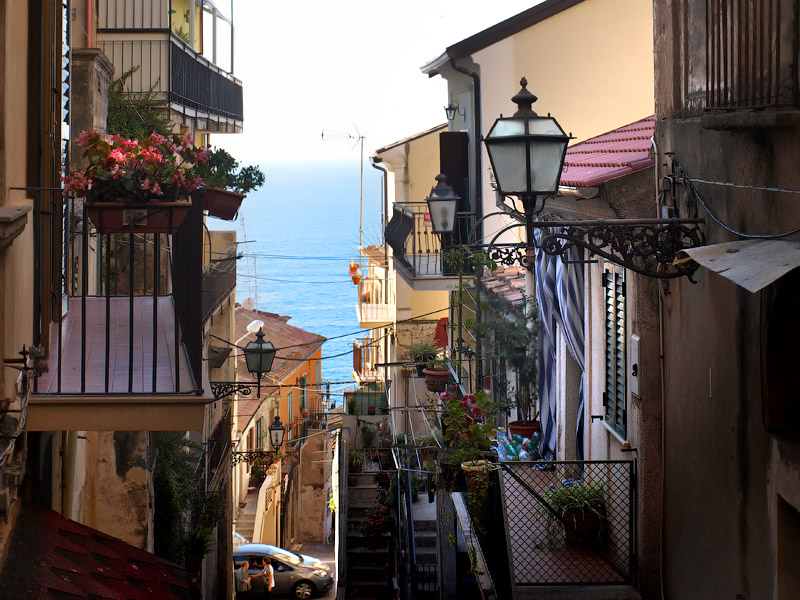 ������� ���������: ���������� ���. ��������, ����������