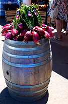 ���������� ���