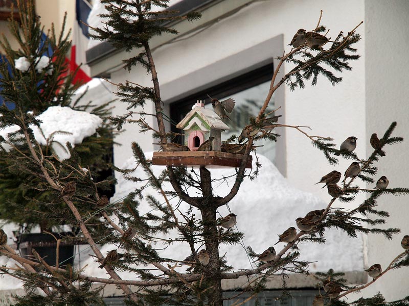 ������� ���������: ���������� �������. �������� ���� �� �����