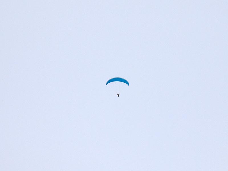 ������� ���������: ������� ��������. � ���� �������� ������ ���� �� �����