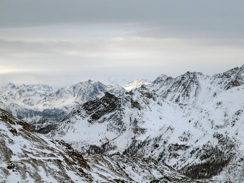 ������� ���������: ������ �����������. ��������, ���������� ����