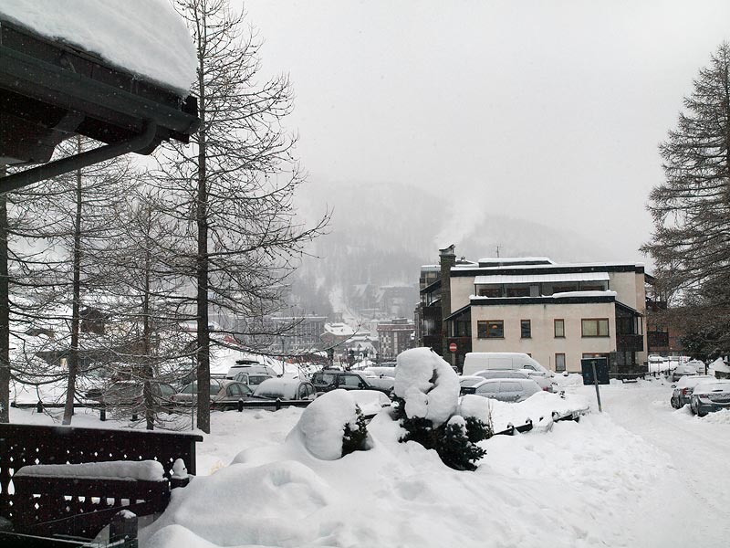 ������� ���������: ���� ����������. ��������: ���������� ���������