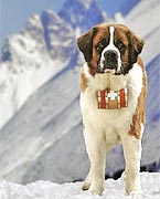 ��������� - ������-���������