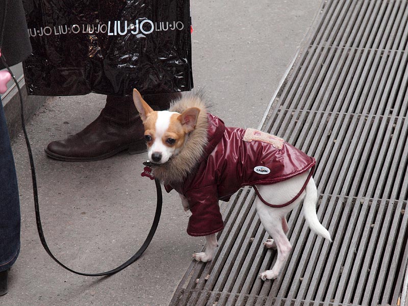 ������� ���������: ��������� �������. �����, ������ ����������