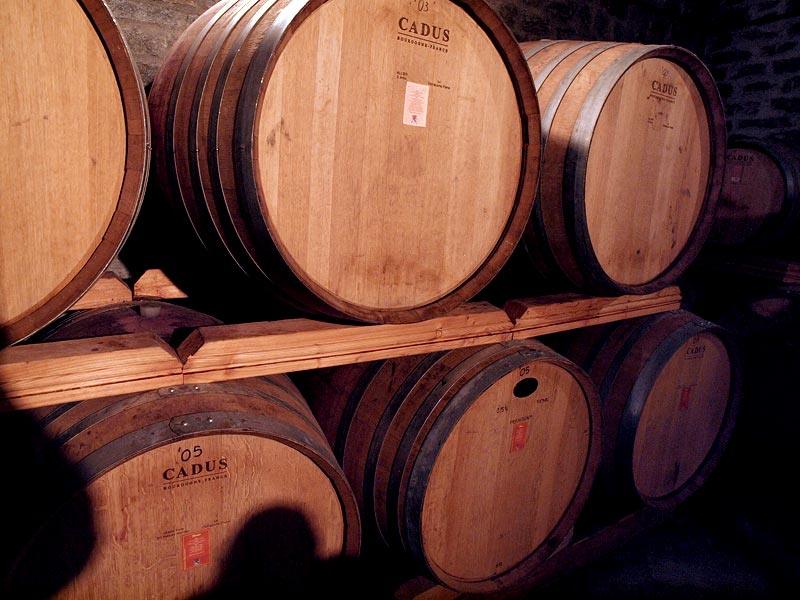 ������� ���������: ����� � �����. ����������