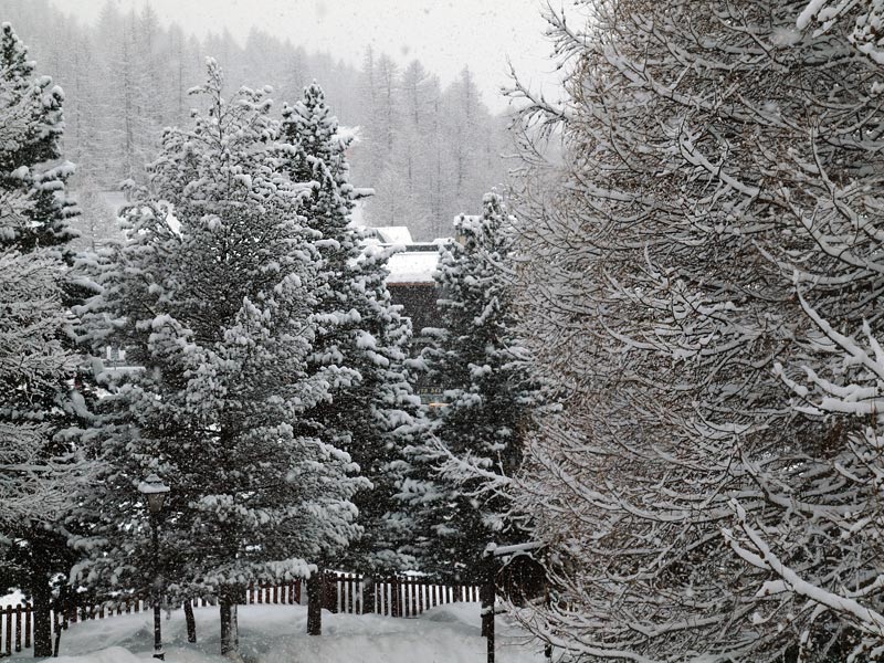 ������� ���������: ��� � �����. ��������, ���� �� �����