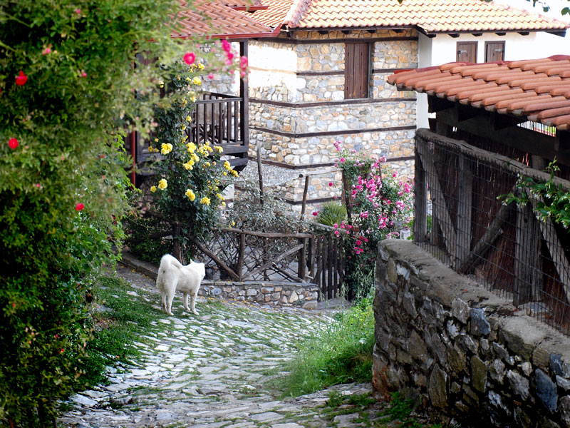 ������� ���������: �������-���. ���� �� ����� ���