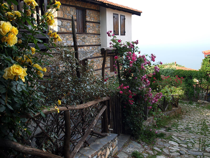 ������� ���������: ���������. ����������� �������