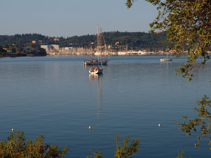 ������� ���������: ��� ���� ������ ����� ����� ������� ������. �����