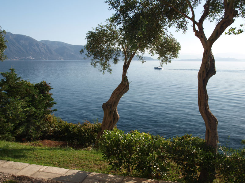 ������� ���������: ����� ��� ����� ����. ���� �� �����