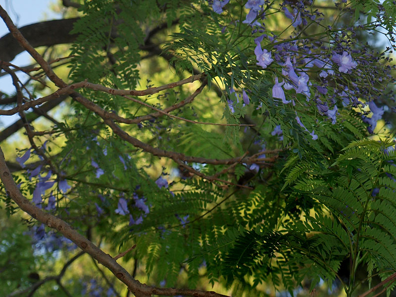 ������� ���������: ����������. ��������� ������