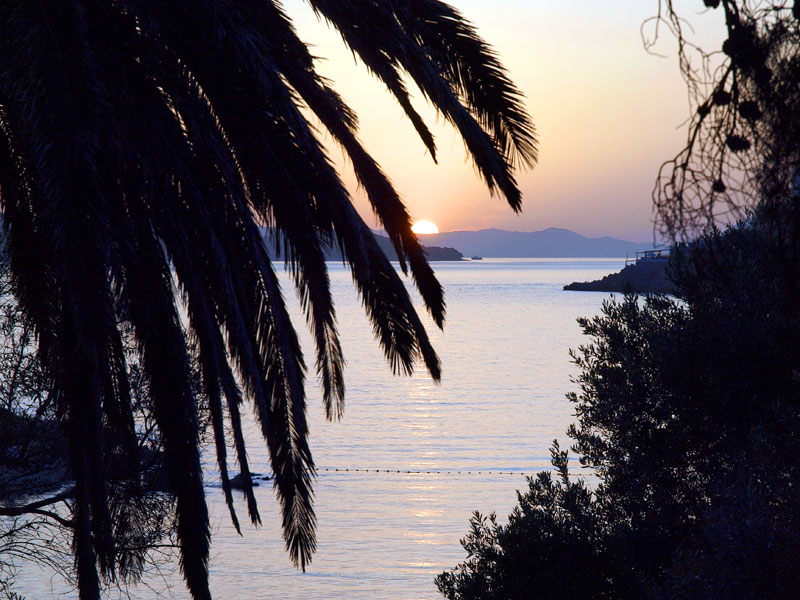 ������� ���������: �����. ���������