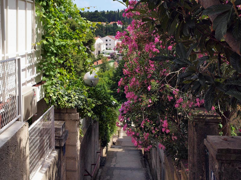 ������� ���������: ������ �����, ���� �� ������ � ����������. ������ �����