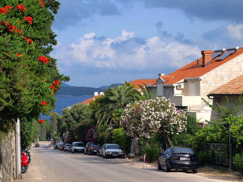 ������� ���������: ������ � ������ �����. ����� �����