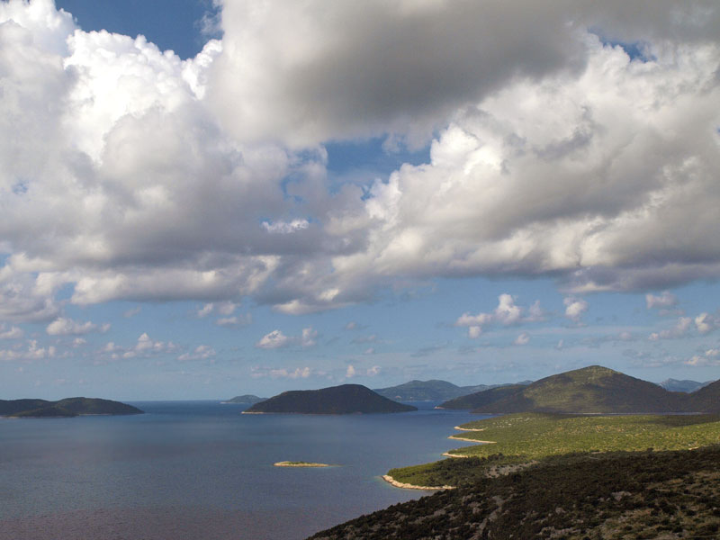 ������� ���������: ���������� ���������. ��� ���� ��������