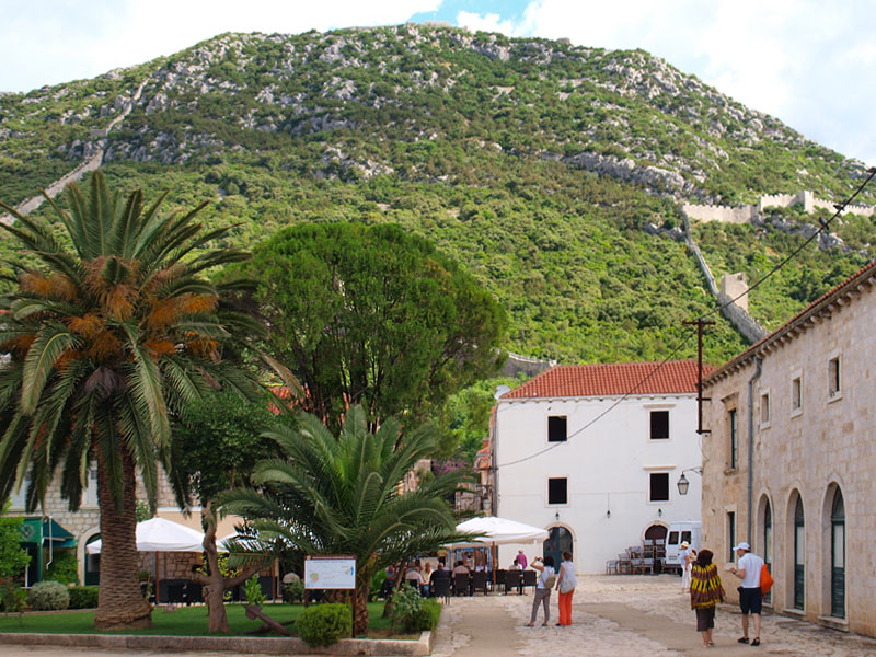 ������� ���������: ������� ����������� �����. ����� ����