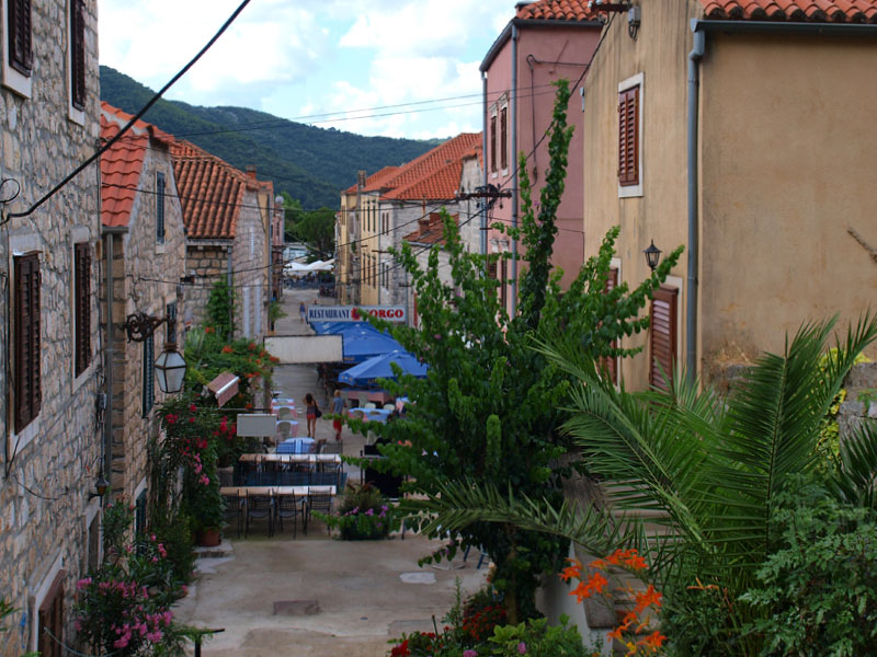 ������� ���������: � ���� ���� ���������-�������. �������� � �����