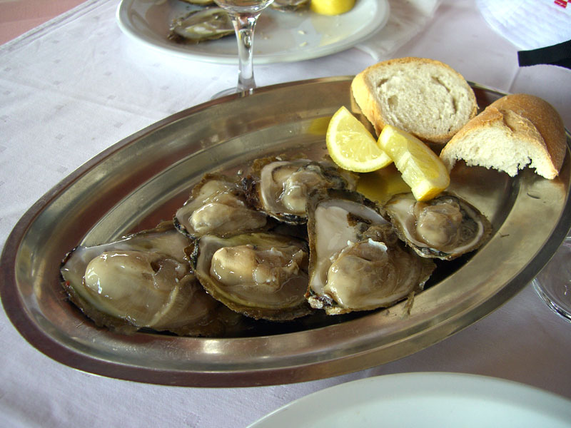 ������� ���������: � ���� ���������� ������. �������