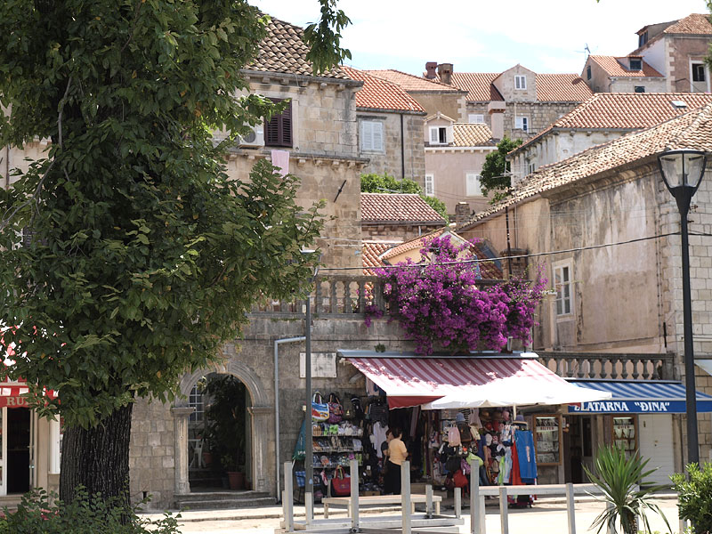 ������� ���������: ����������������� �����. ������