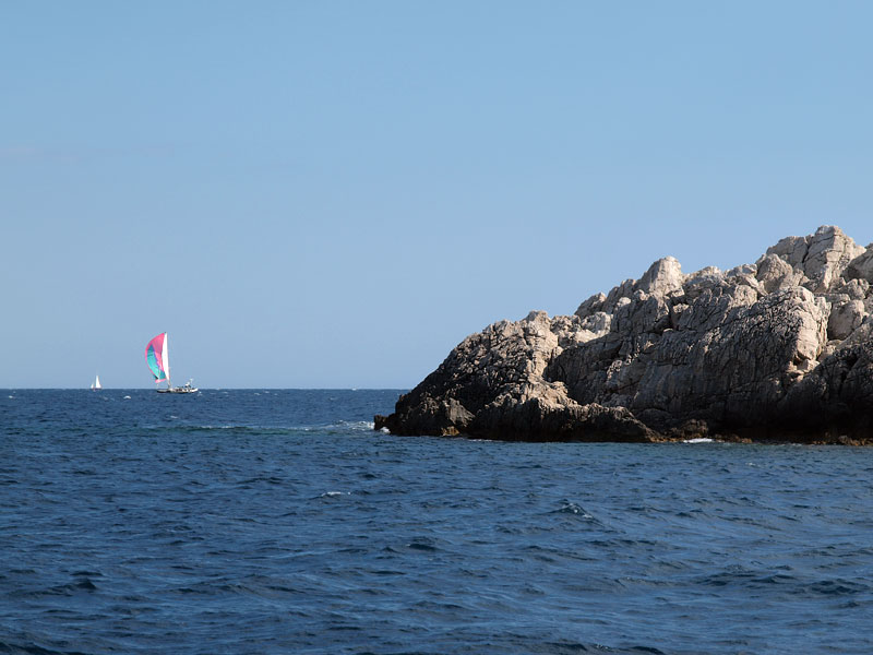 ������� ���������: ���� ������. ����� �����������