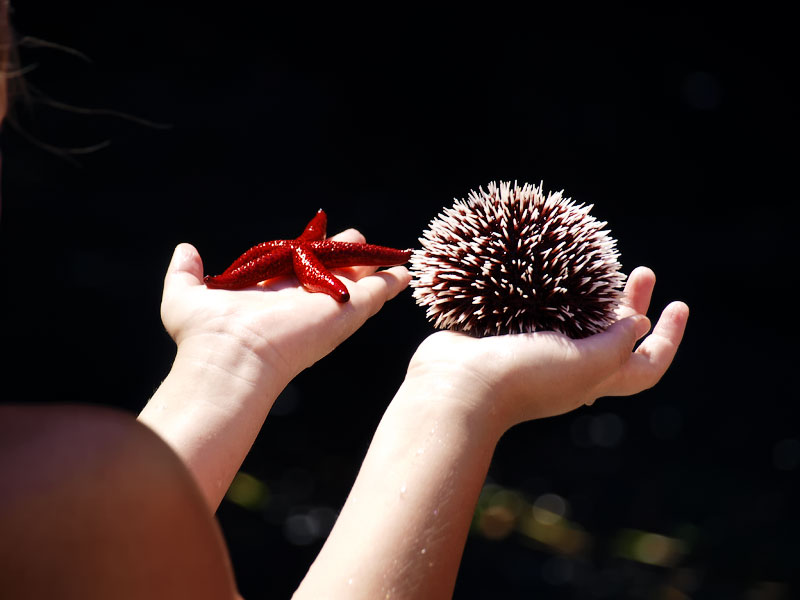 ������� ���������: ����� ���������. ������� ����� �� ������� �����