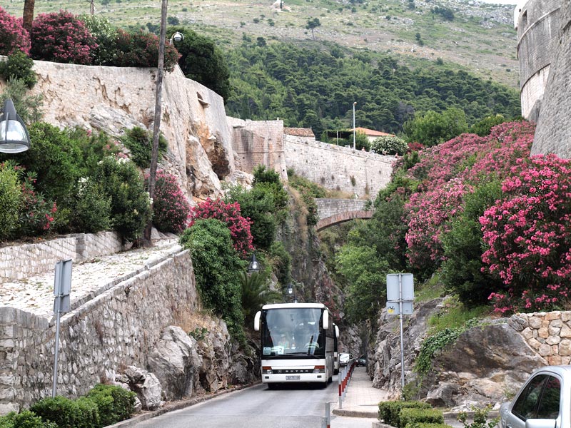 ������� ���������: ���� � �����. ���������