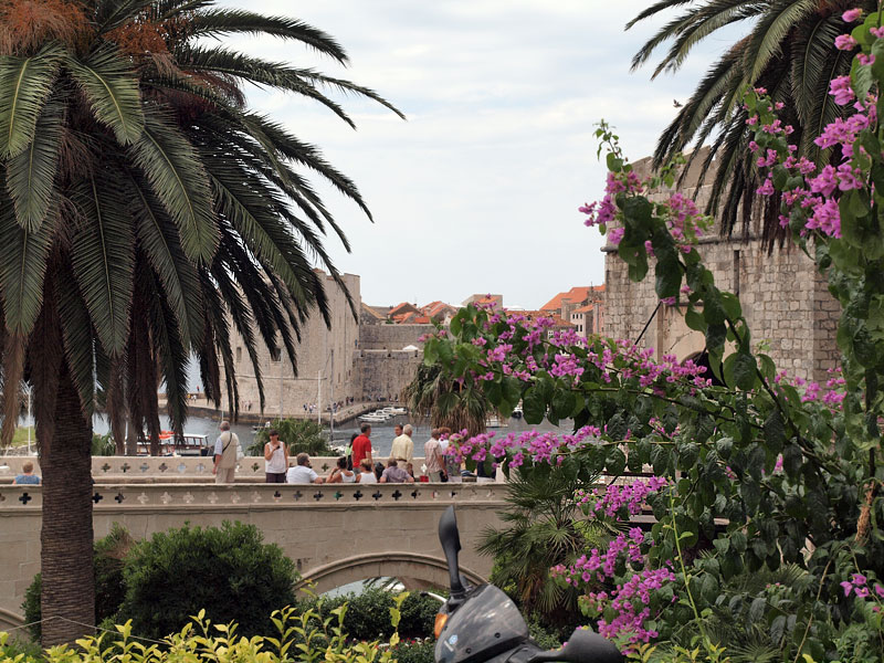 ������� ���������: �������� ��������. ������ � �����