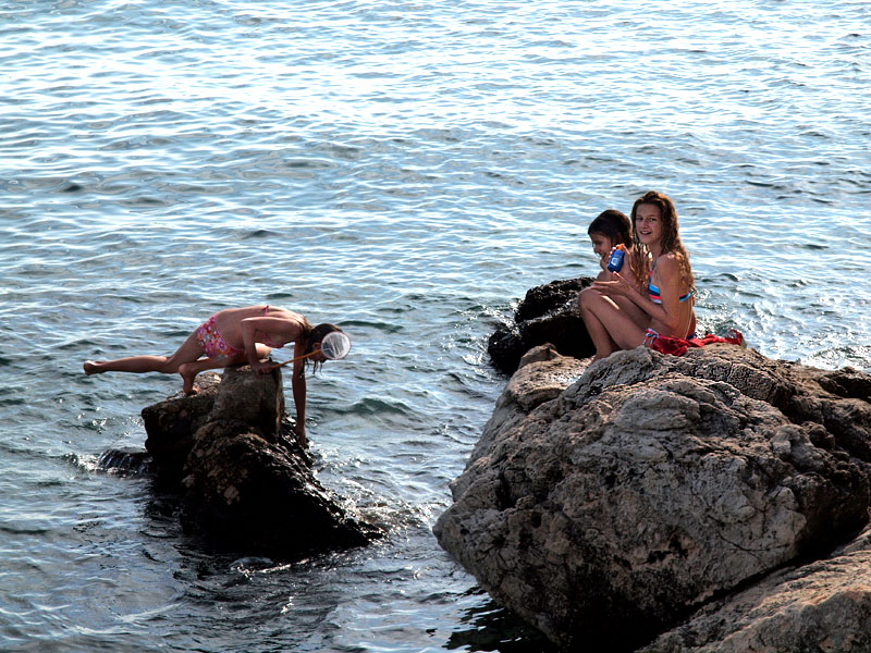 ������� ���������: ������� � ����� �����. �� ������