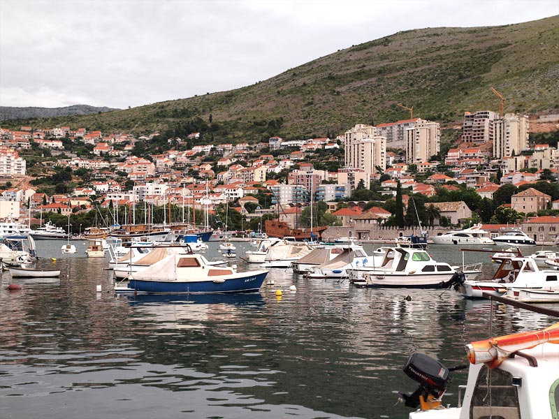 ������� ���������: ������������ ������ ����������. ���� ����