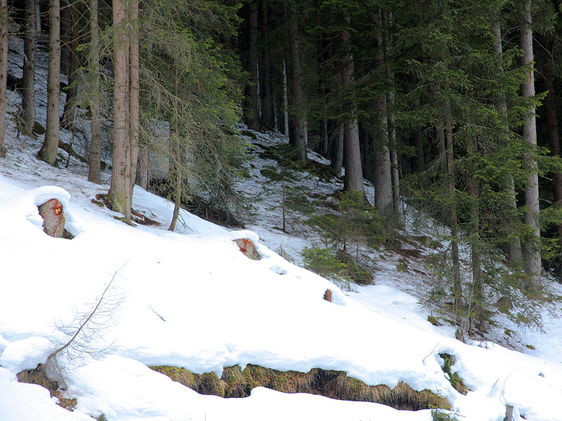 ������� ���������: ��� � �������. �������� ������