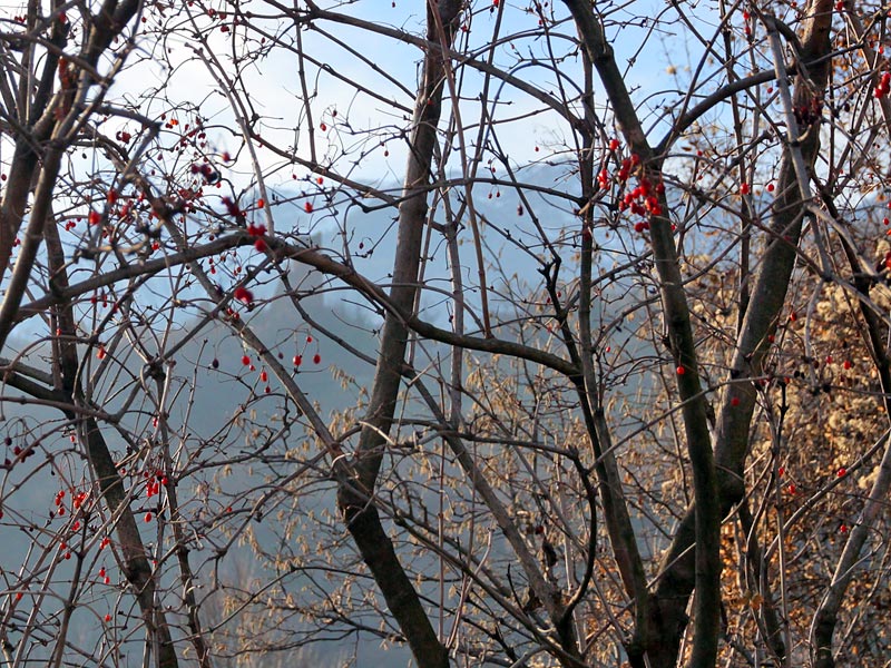 ������� ���������: ����� �� ������, � ����� � ���.... ������ � �������� ������