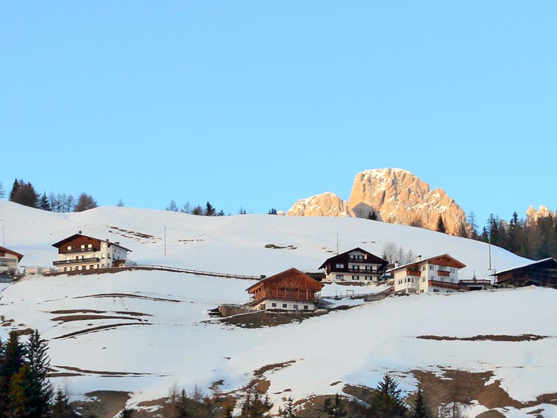 ������� ���������: ����� ��� ����� � ������. ����-�������