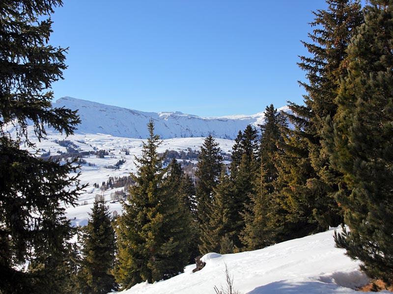 ������� ���������: ������ ���� � ������� ����. ����������� �����