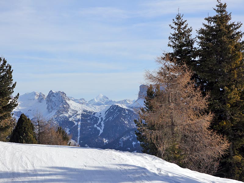 ������� ���������: ��� ���������? ���, ��� �� ���.... �������� �������