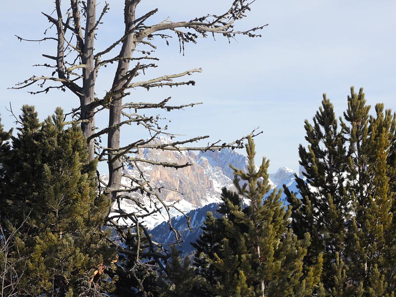 ������� ���������: ����� � ����. ��������