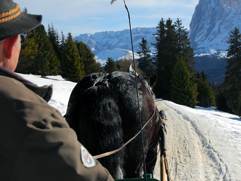 ������� ���������: �� �� ����!. ����� �� �����-��-�����