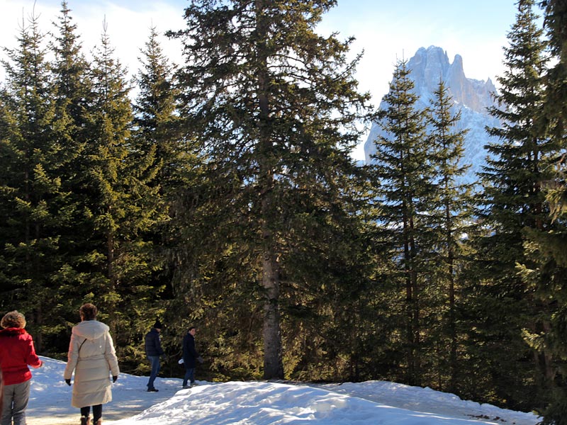 ������� ���������: � ����. � �����